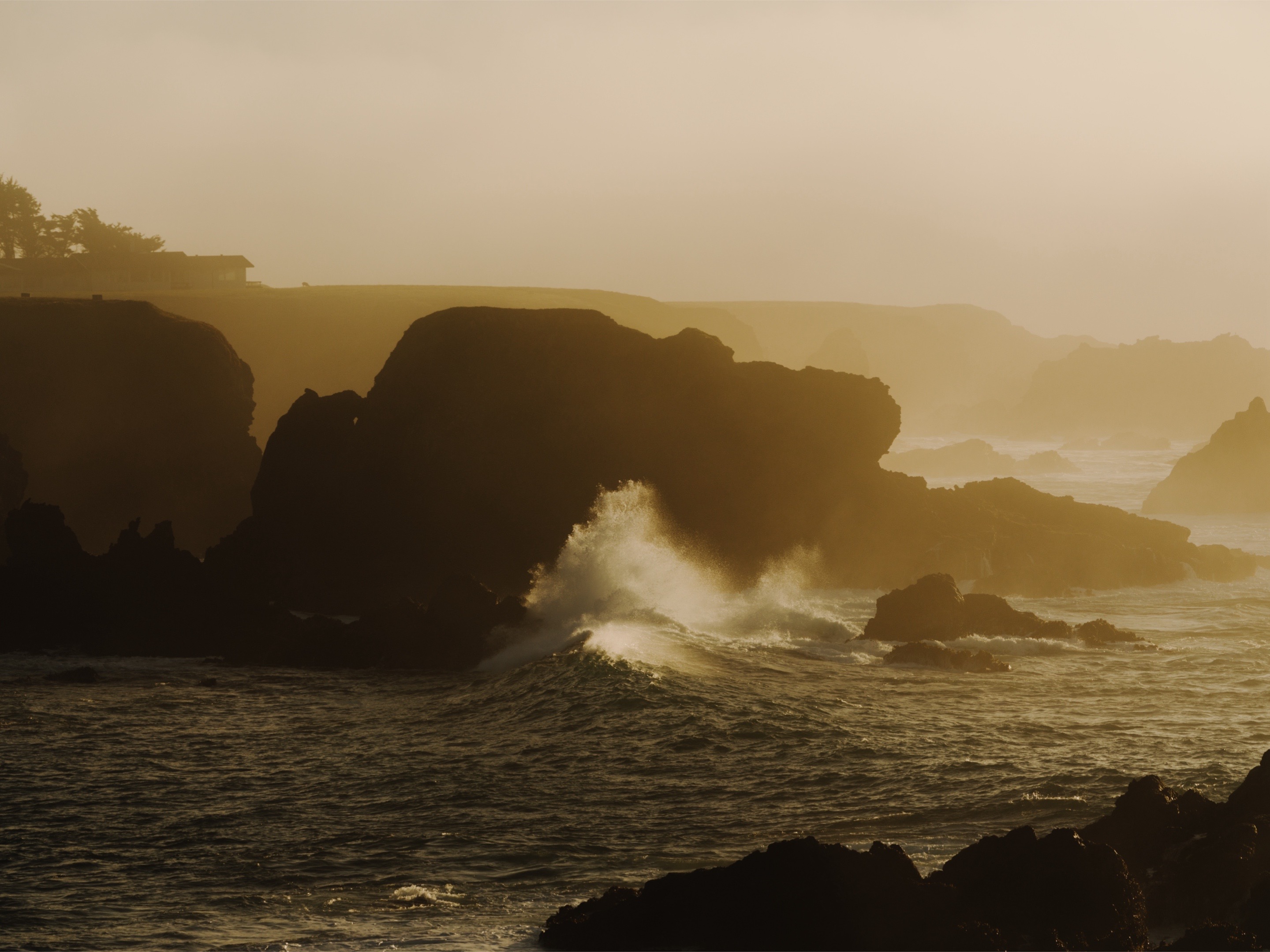@FUJIFILM X/GFX USA