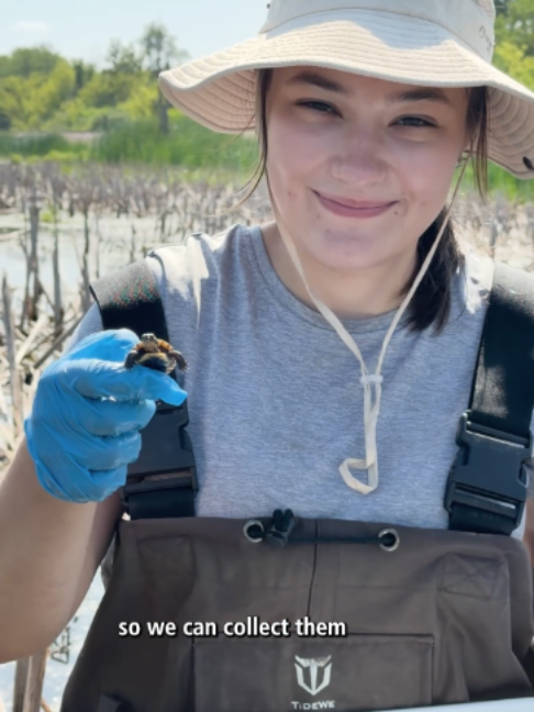 @DuPage County Forest Preserve