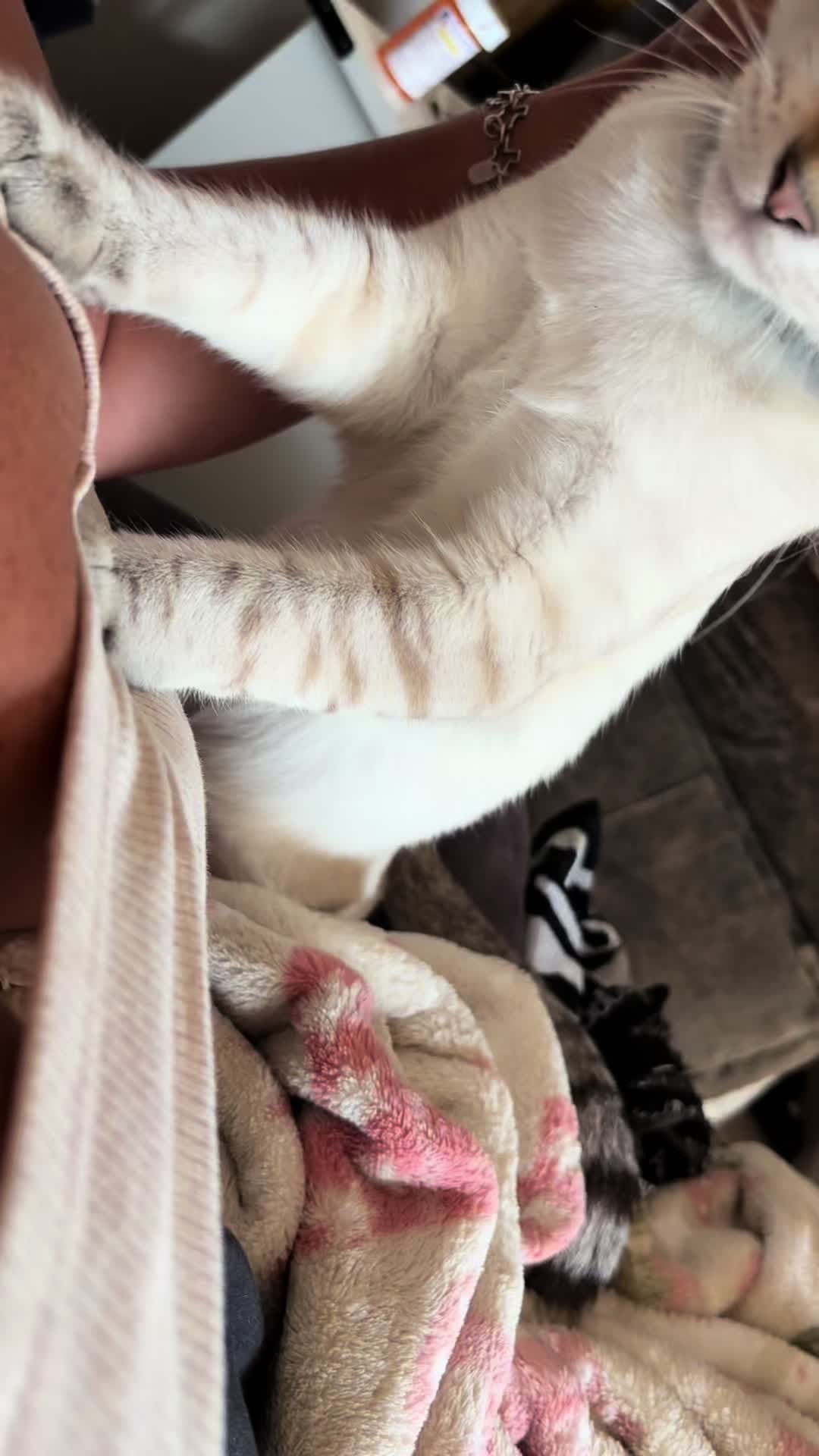@Nonnie79