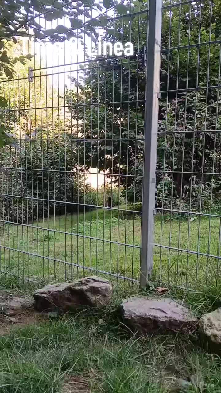 @Projekt Tierschutz e.V.
