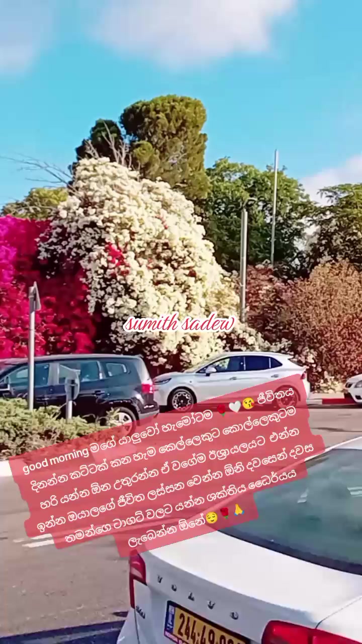 @🇱🇰sumith739🇱🇰🇲🇾🇮🇱🙋🙏