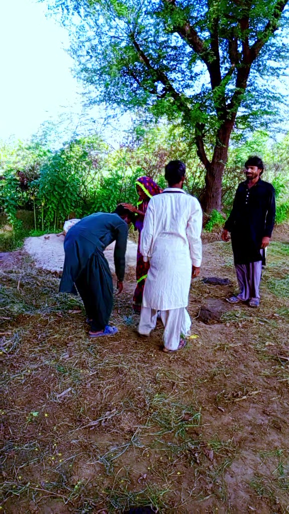 @Shameer Rathor