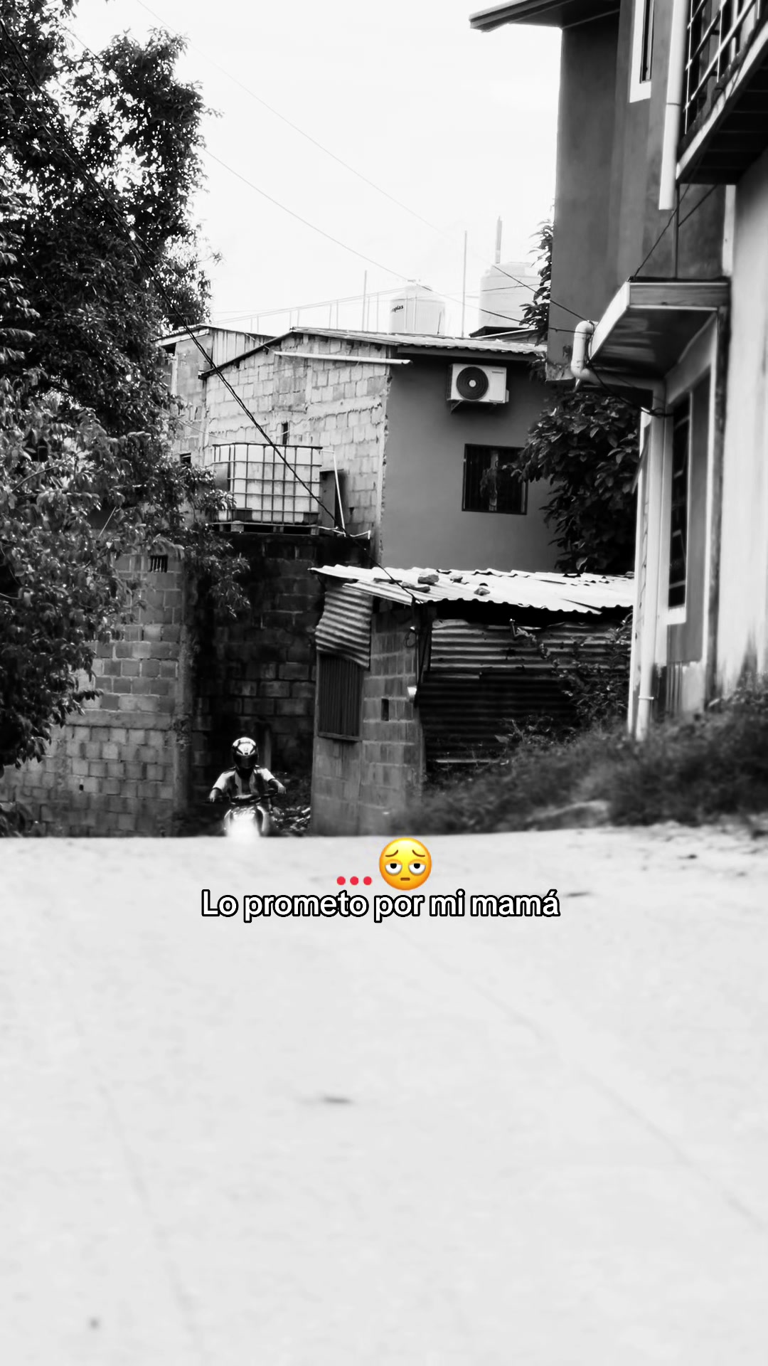 @JAVIER PORTILLO🐌🇭🇳🛩️