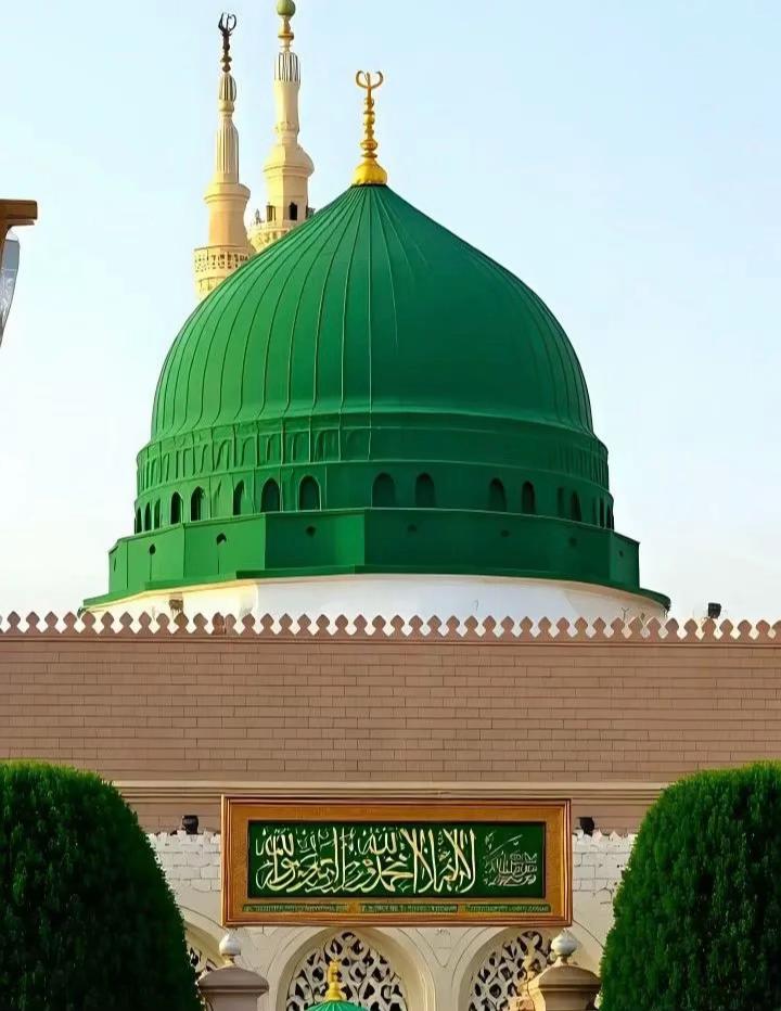 @🫥MALIK SHAHZAIB🗽