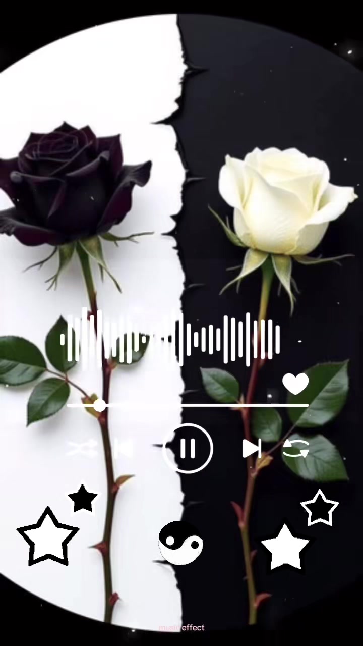 @Beth-Loveisalwaystheanswer3🪽
