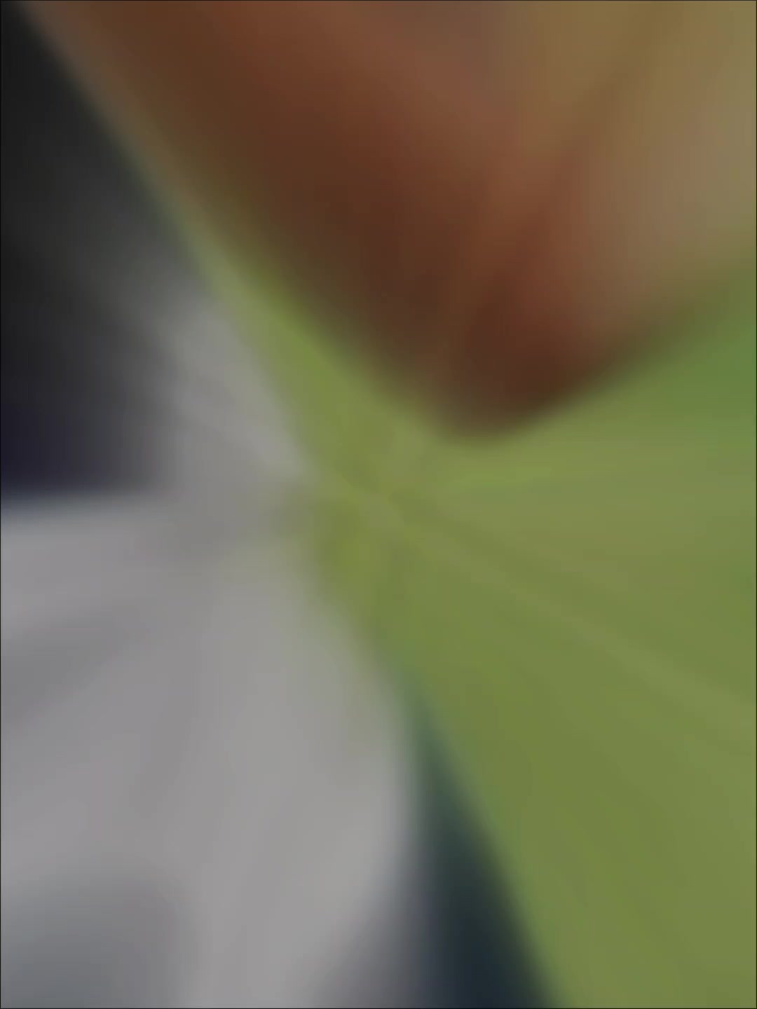 @∘ 𝙨 𝙪 𝙣 𝙣 𝙮 🪐