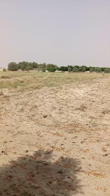 @Qaisar Abbas.804