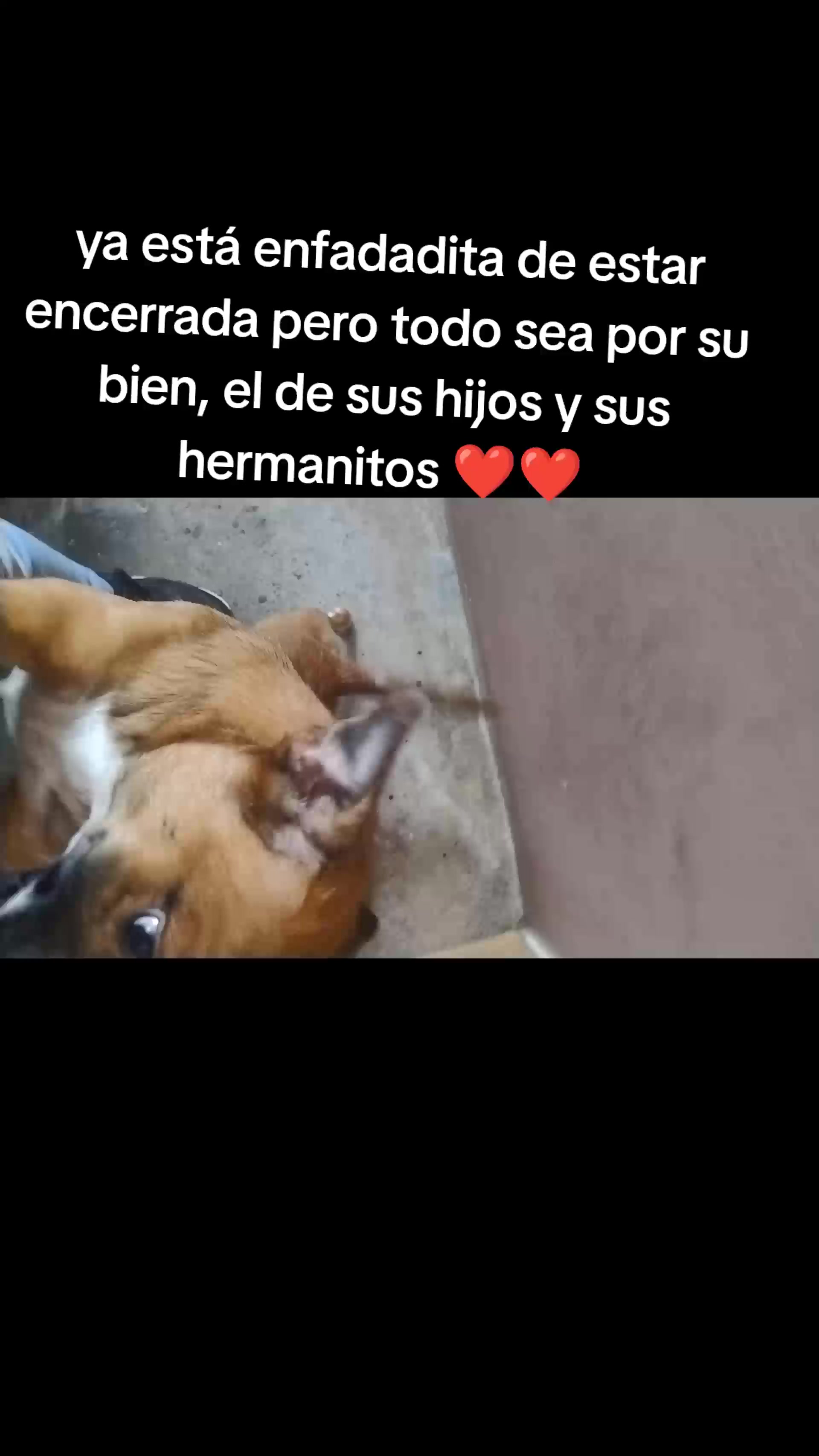 @Judy❤️❤️💞