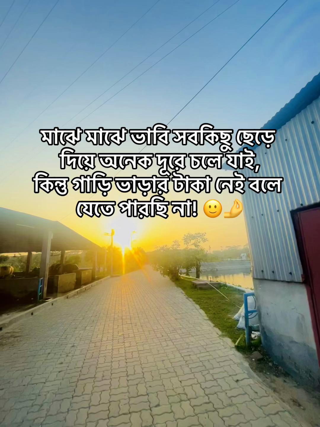 @টিক-টিকি