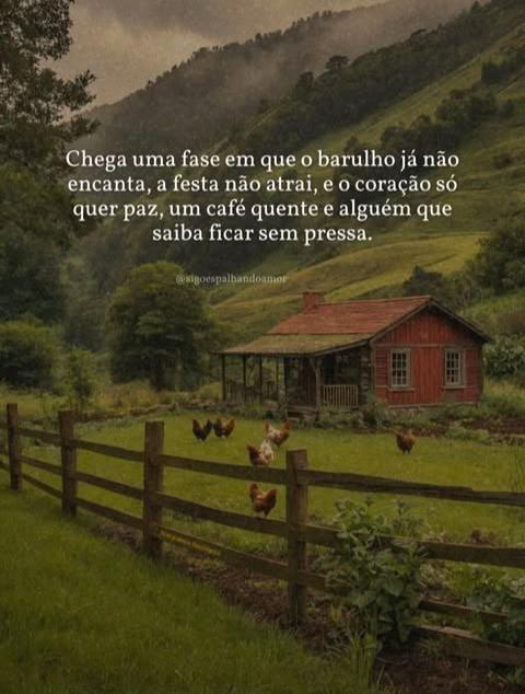 @Cheguei na Ro&ccedil;a