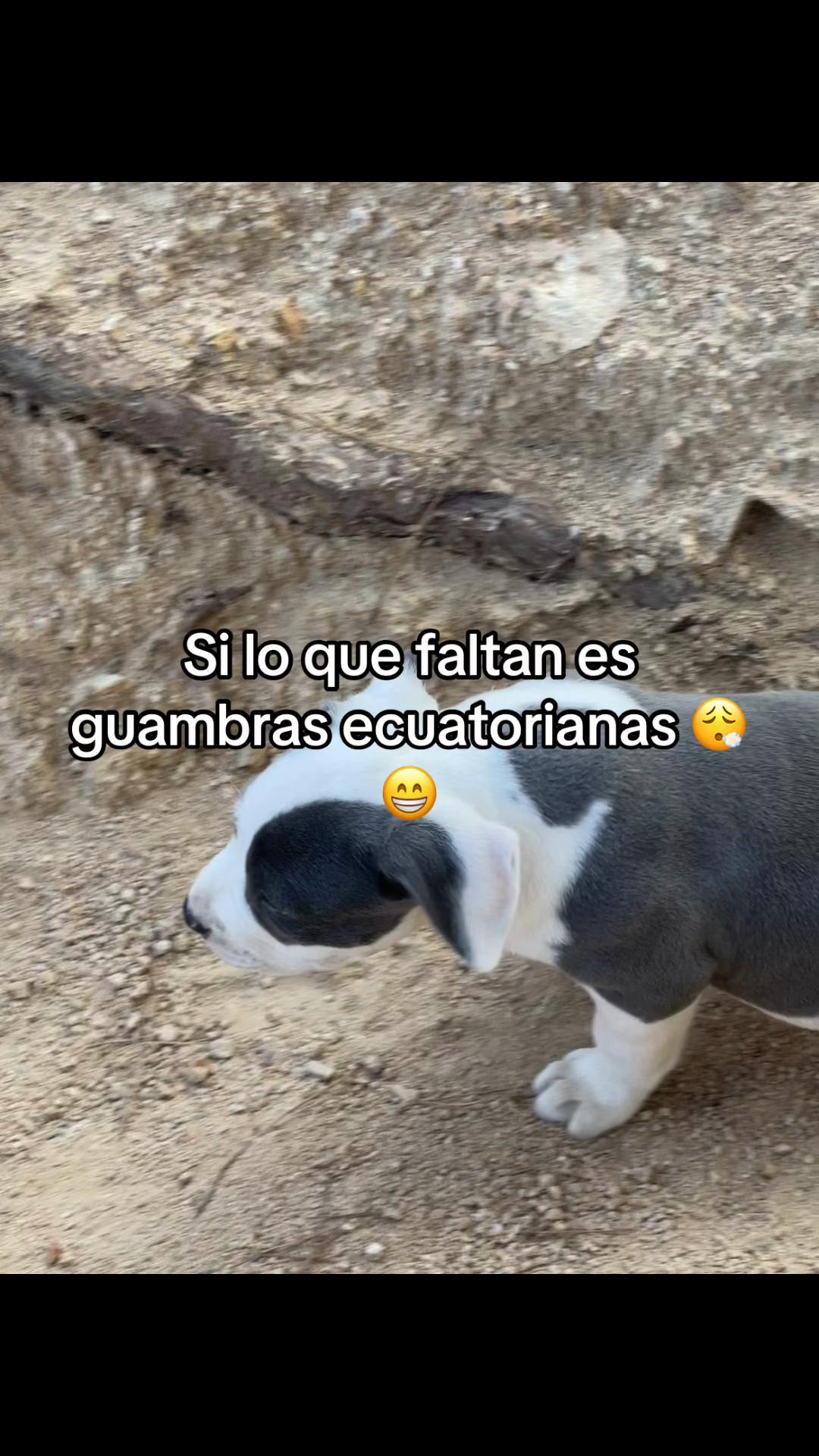 @cristhianeme