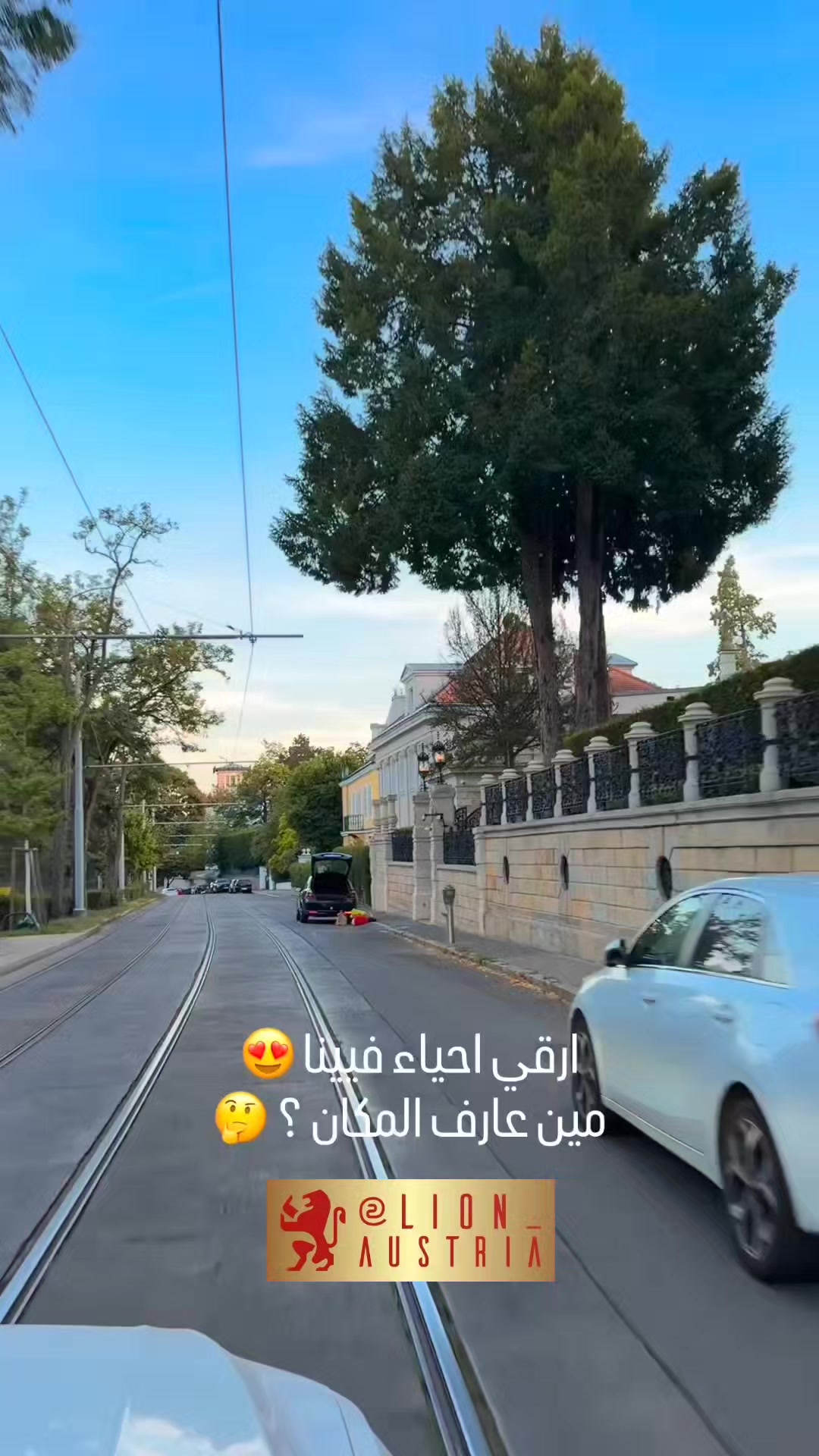 @Lion 🇦🇹