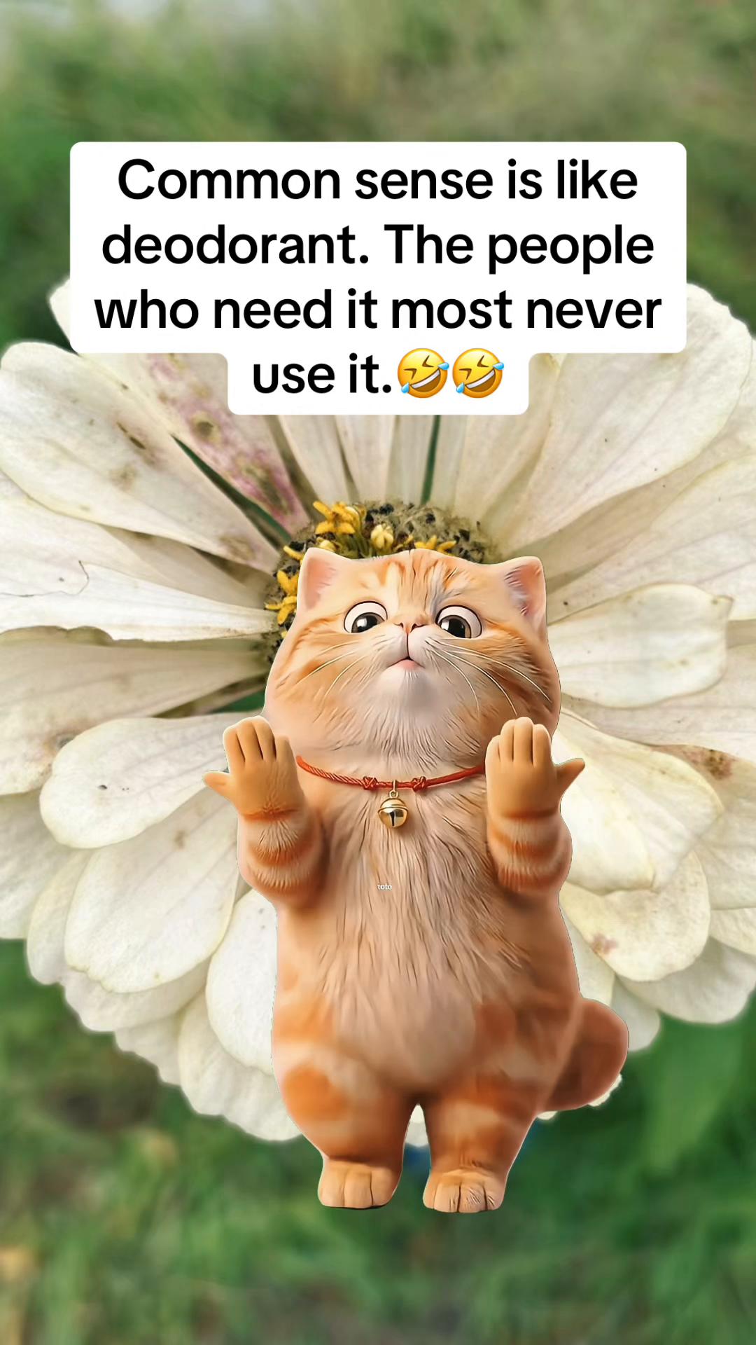 @Ann🪸 sweetie🔥🌹🪸