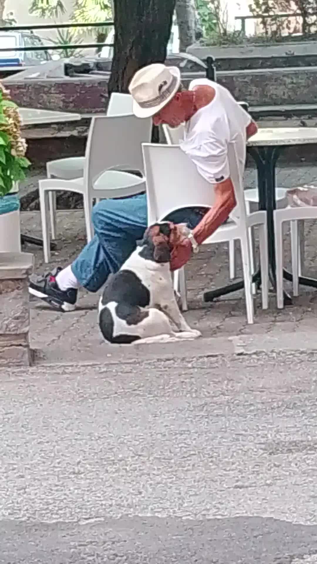 @Biagio Nasti Pelosisos