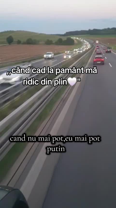 @Nicoleta Balan