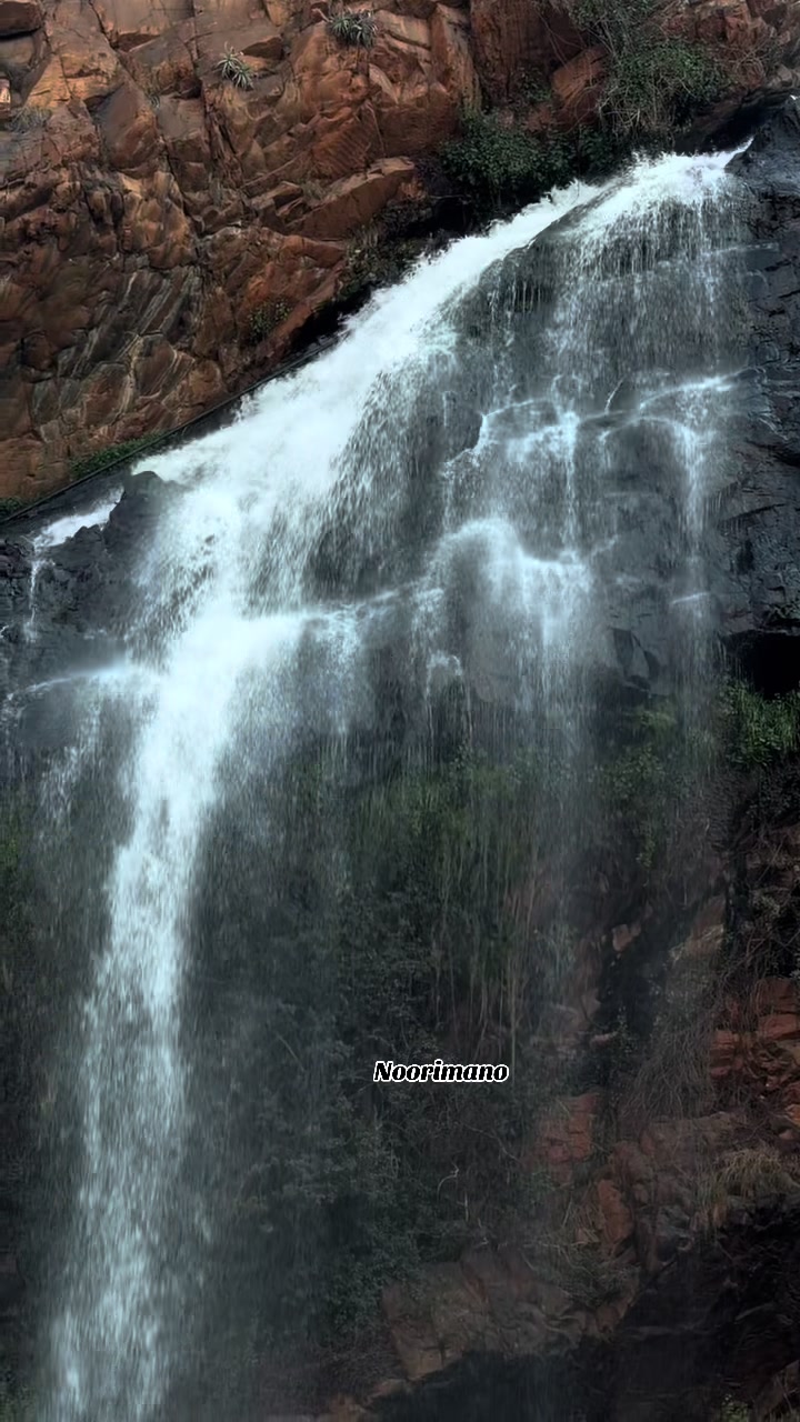 @Fatima Bilal