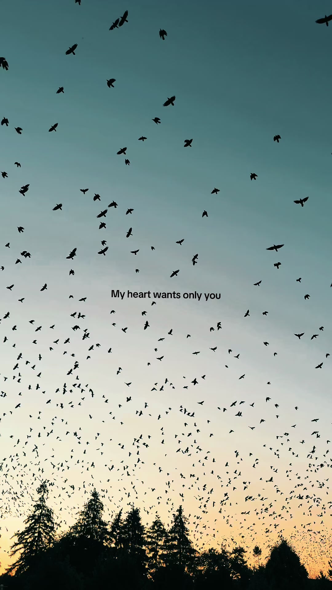 @poemsofyou🌷