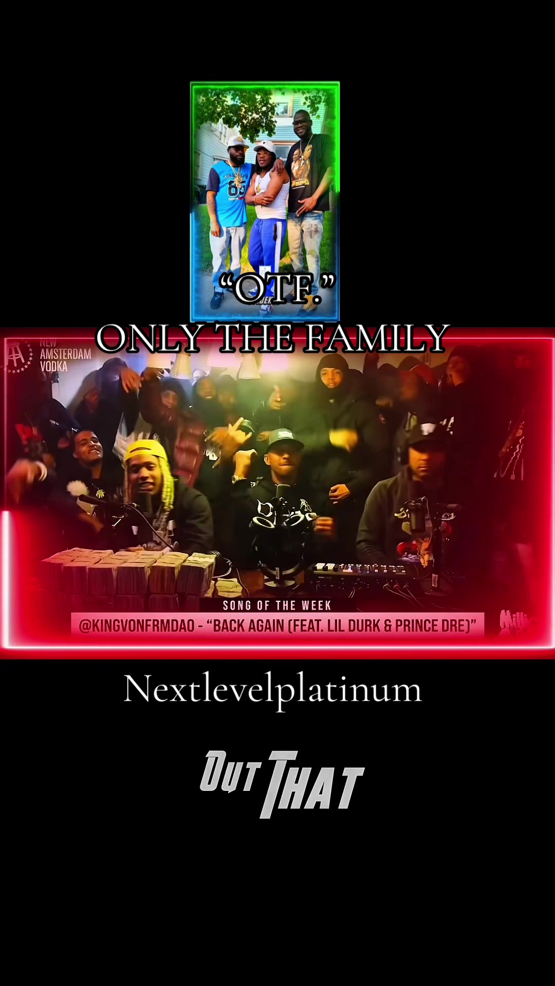 @nextlevelplatinum360.com
