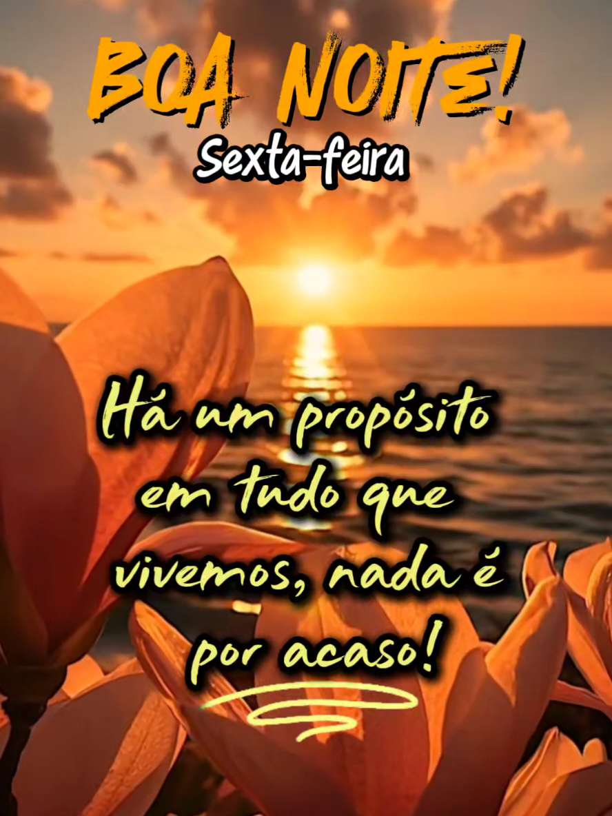 @@surtadinha