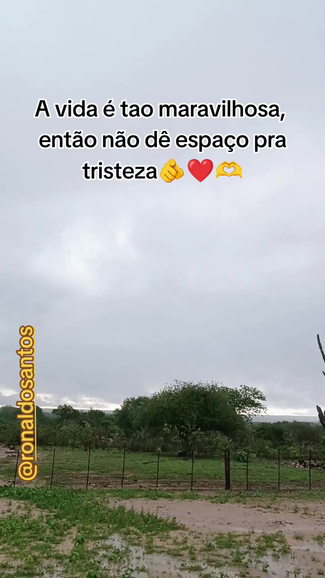 @ronaldosantos