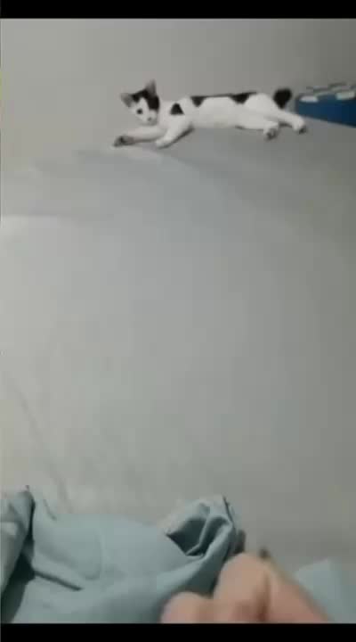 @Funny