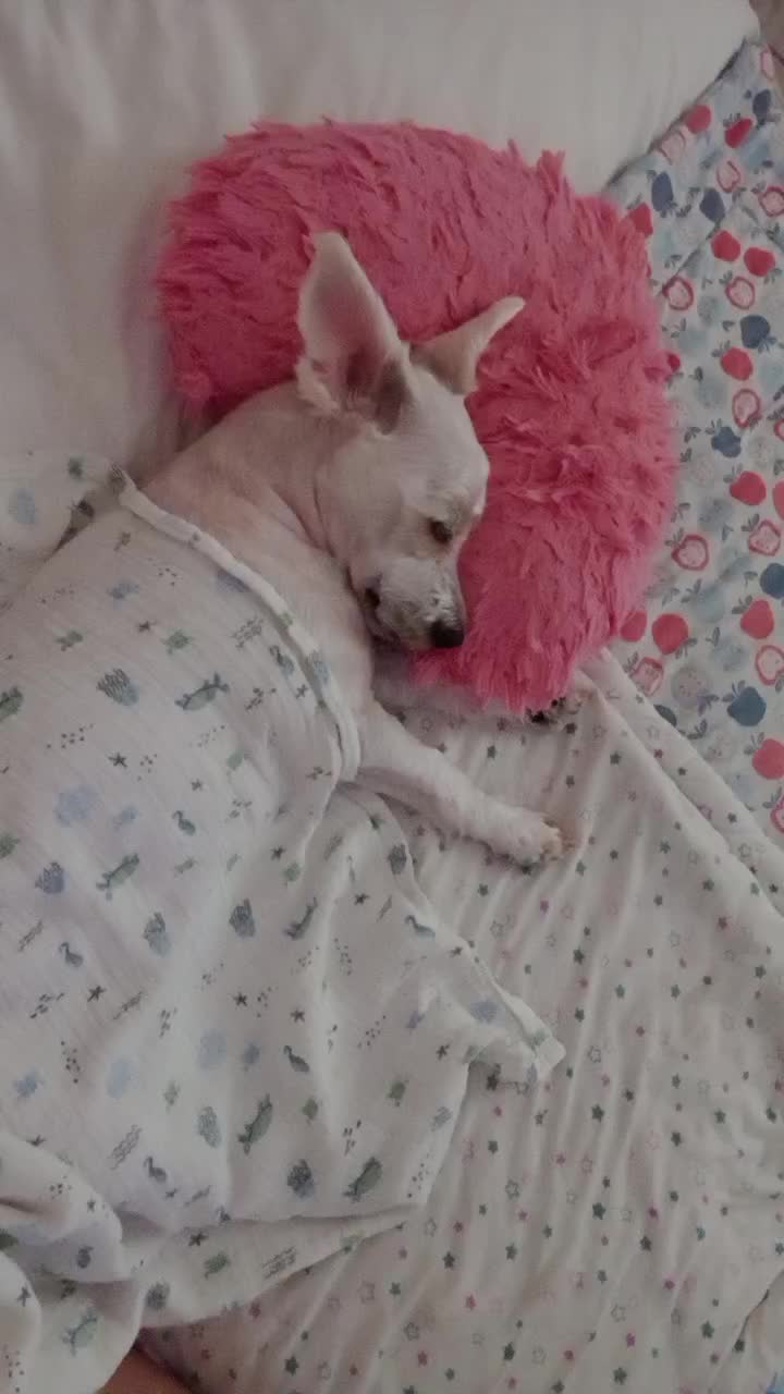 @Flori