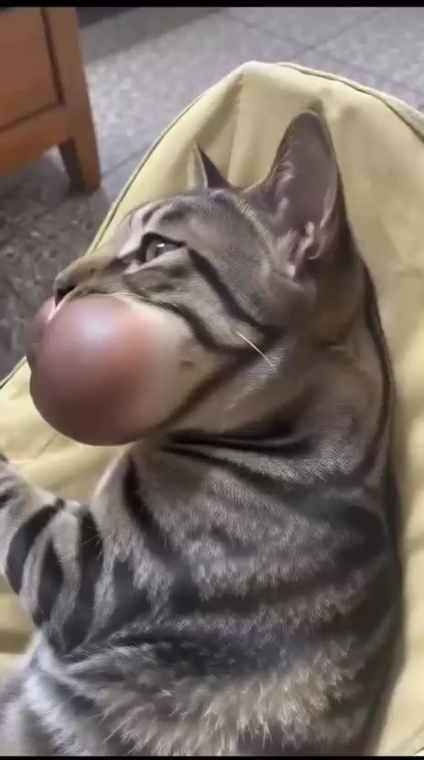 @Funny