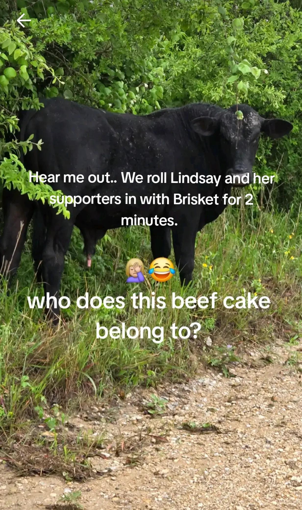 @Angel.yeet❌️yourlast haw🇺🇲🐴