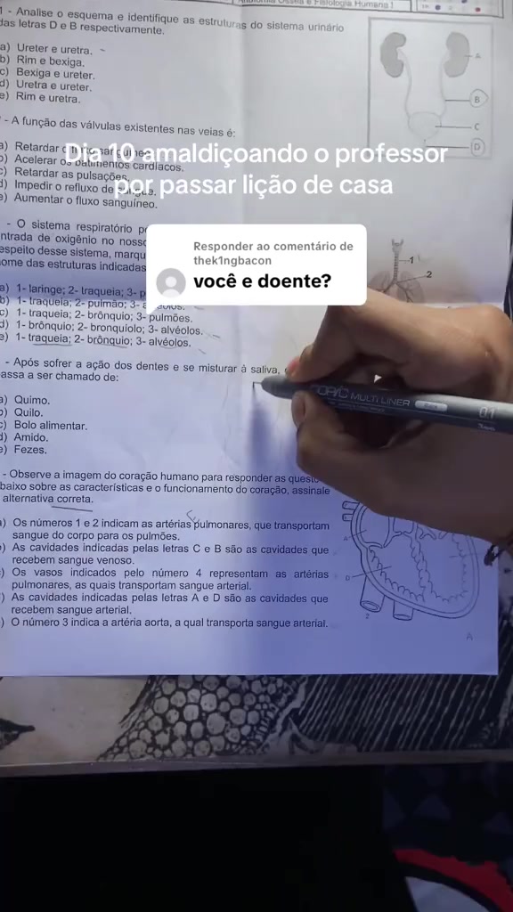 @Luan Nolasco ✏️