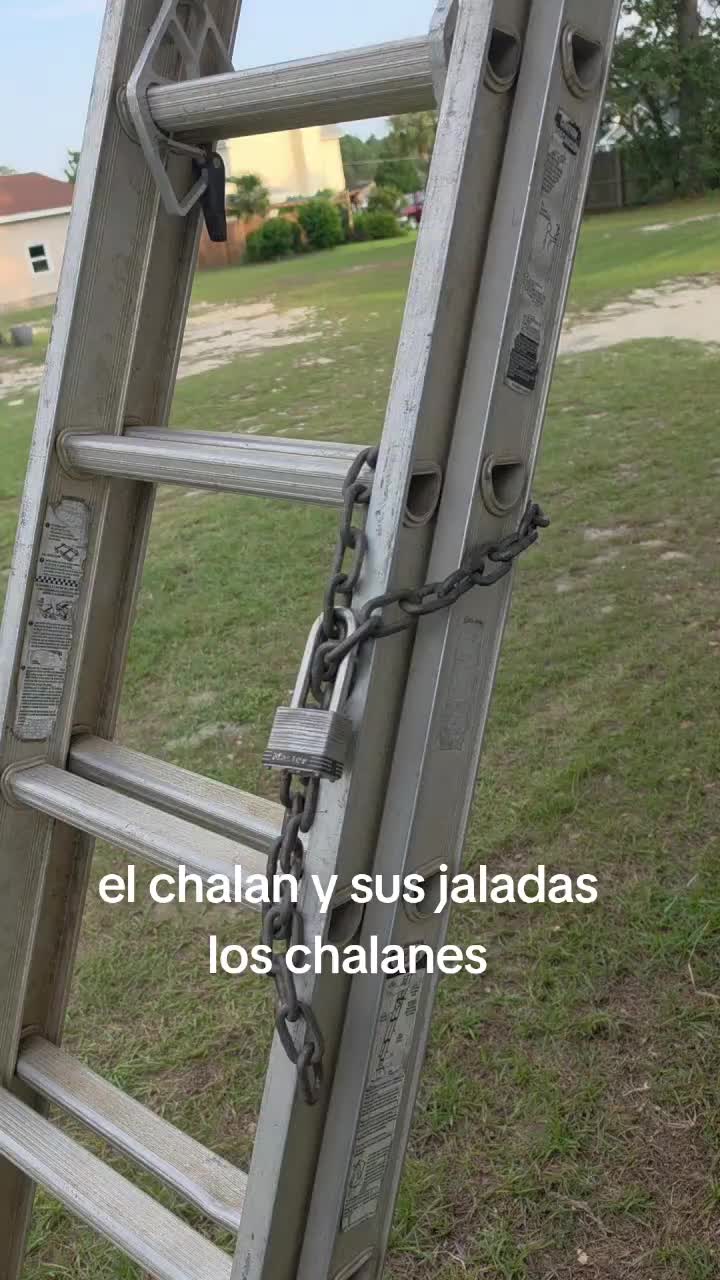 @Noel aleman