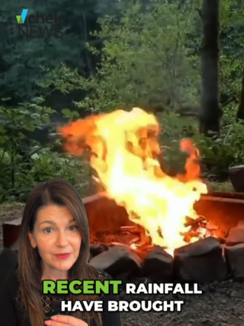 @chekmedia