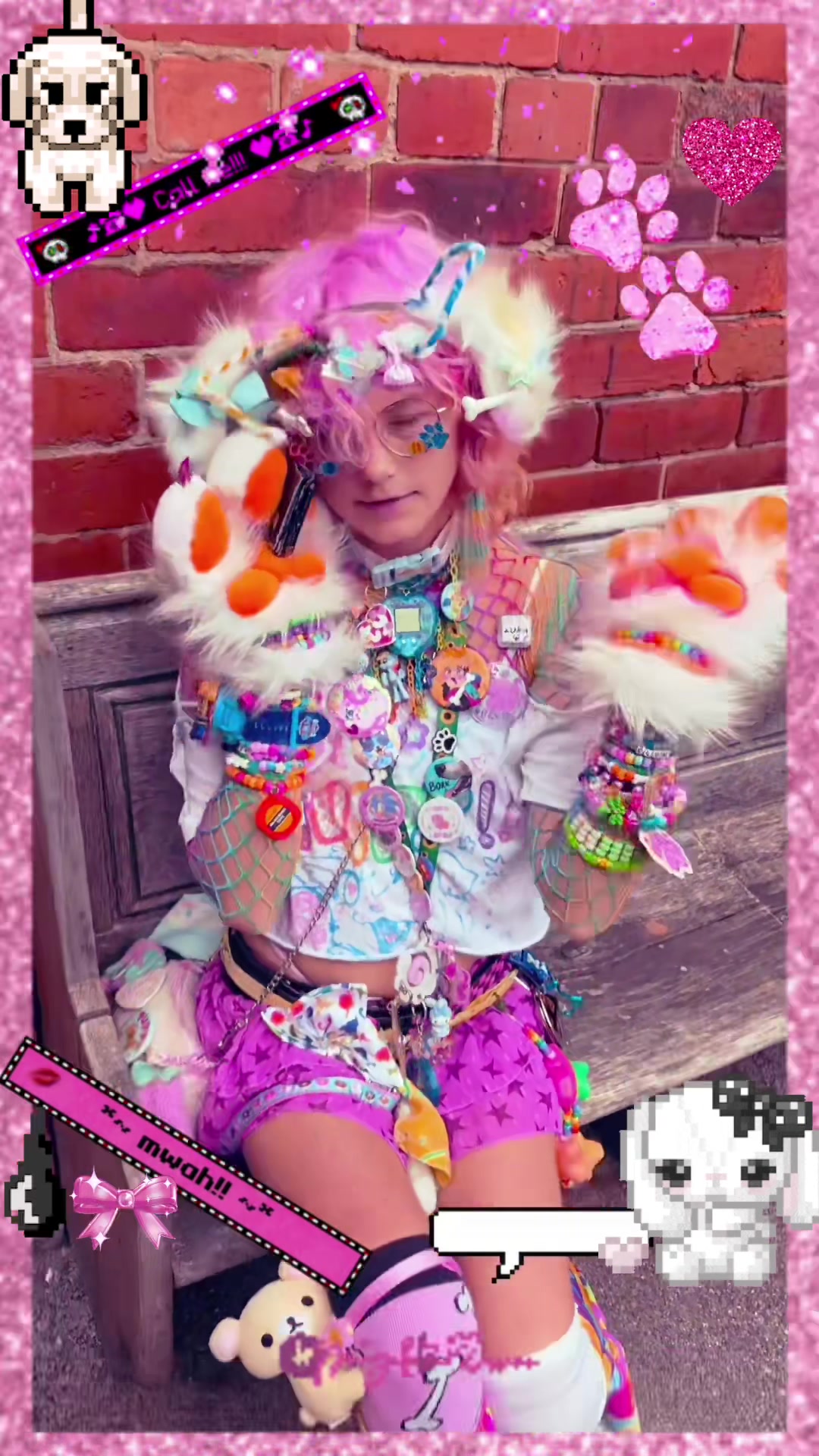 @⋄◦☆🦴THE SILLY🐾☆◦⋄