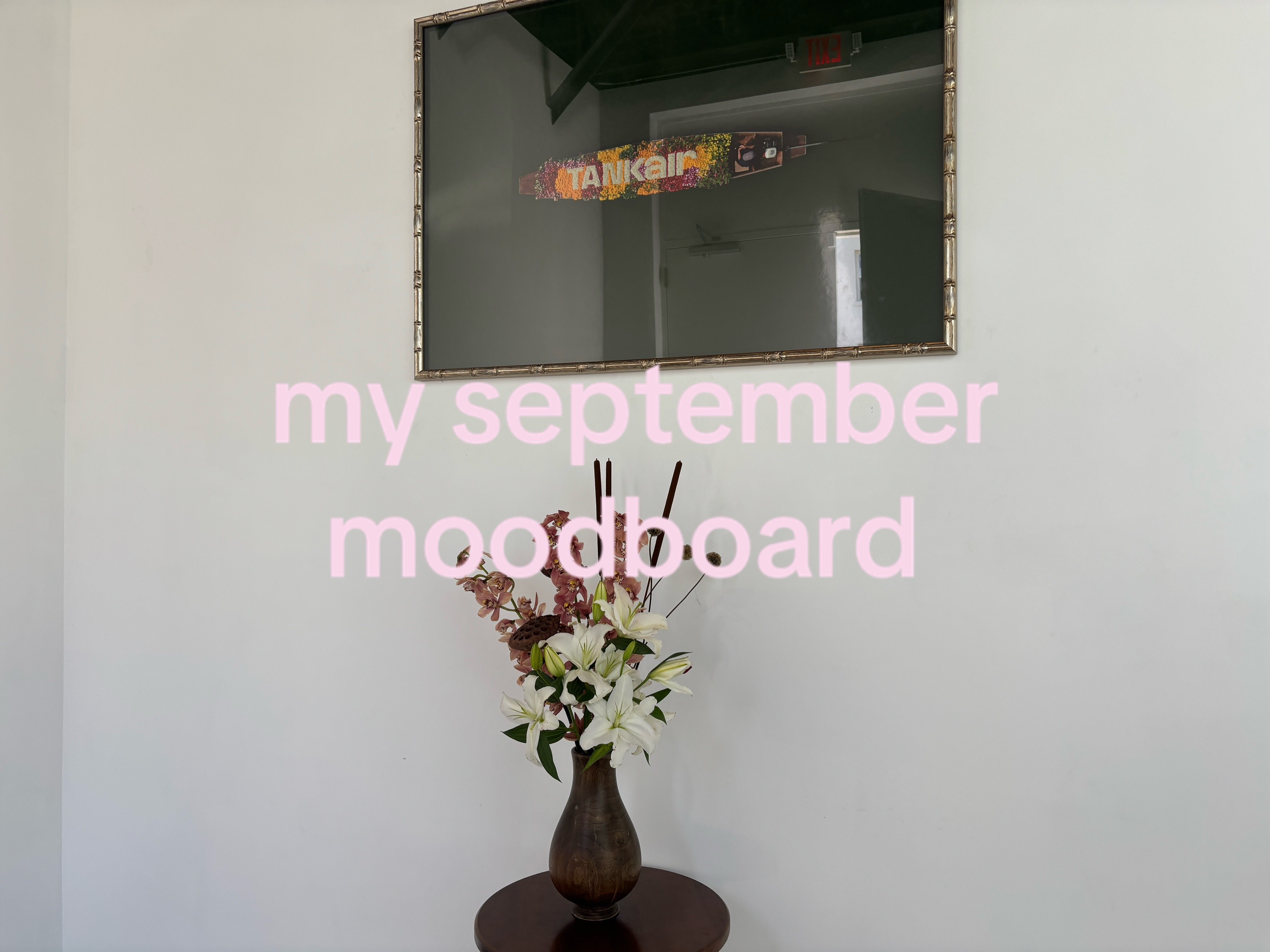 @zoe