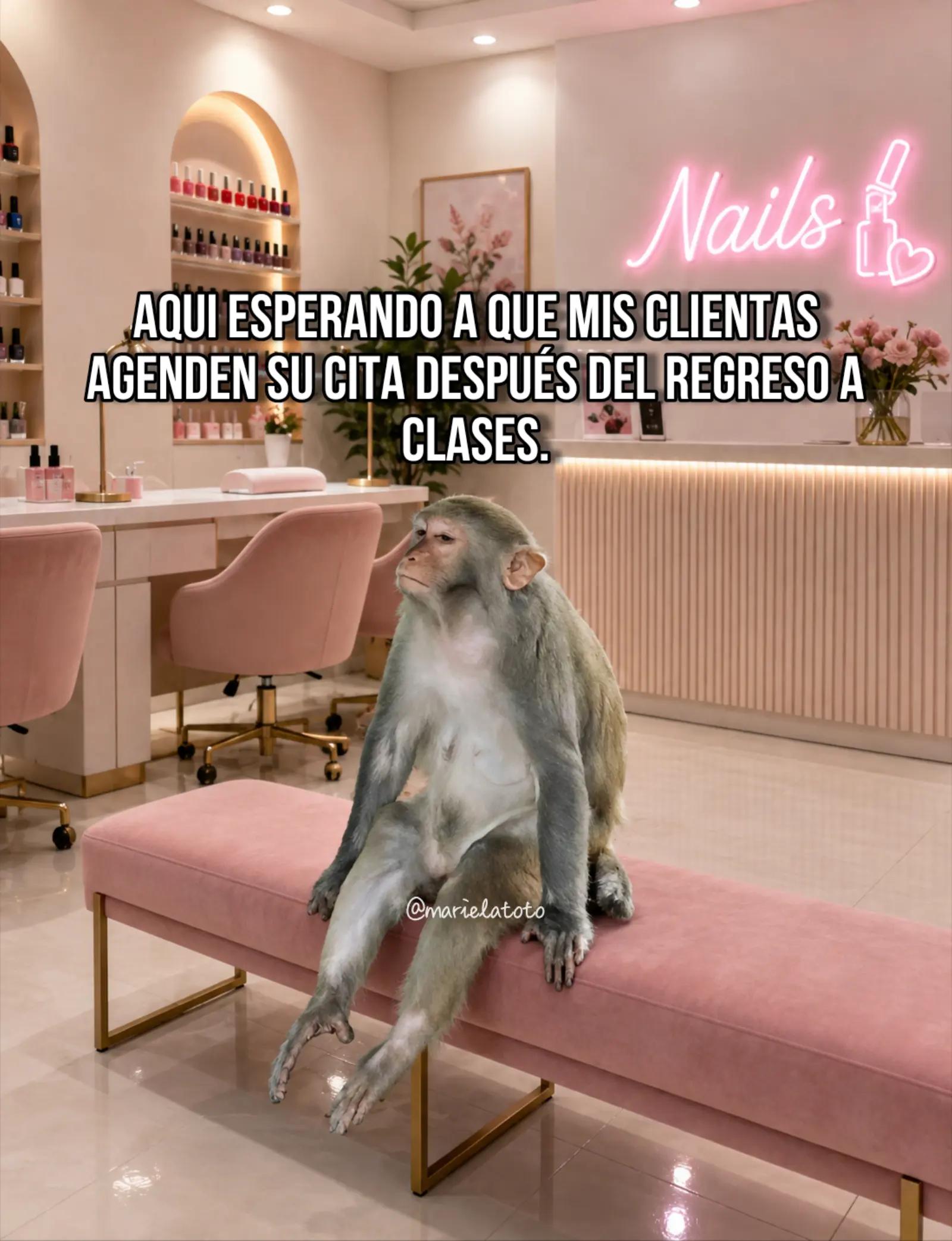 @Mariela Toto