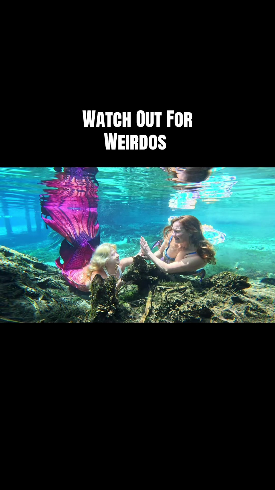 @Gulf Coast Mermaid 🧜&zwj;♀️