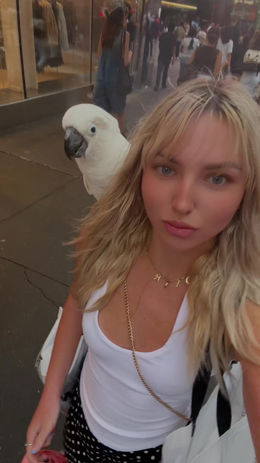 @brittblair_duh