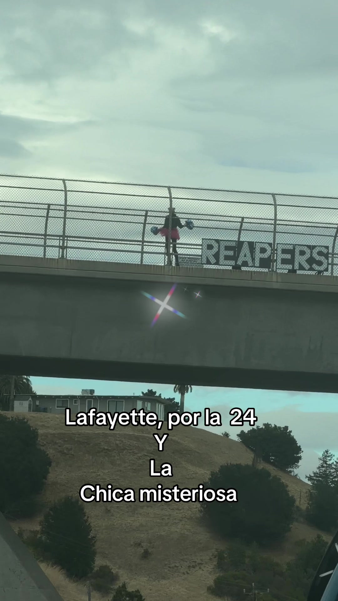 @✨ 𝓙𝓞𝓡𝓓𝓐𝓝 𝓙𝓐𝓥𝓘𝓔𝓡 ✨