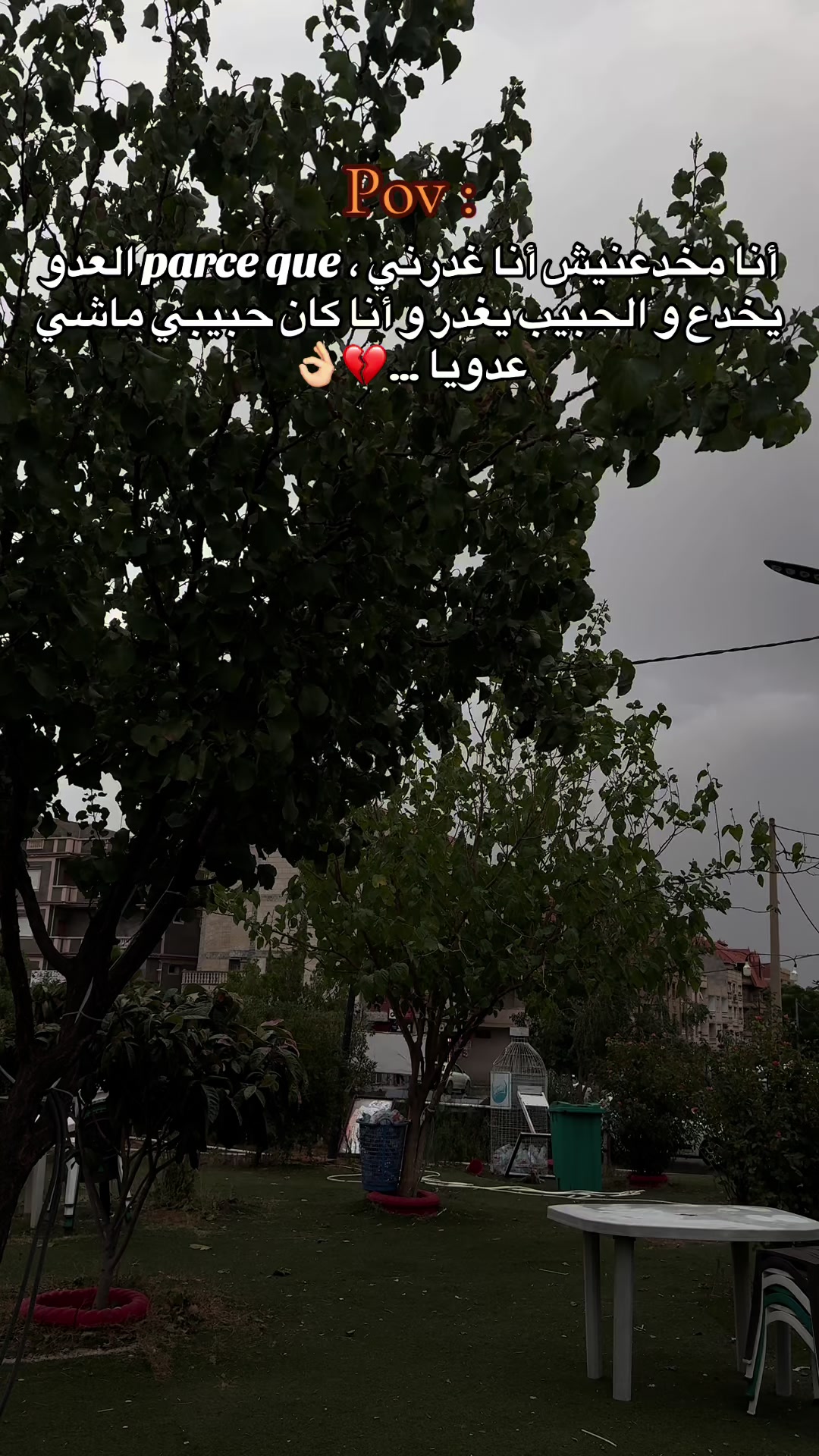 @A S M A | أسماء 🦋