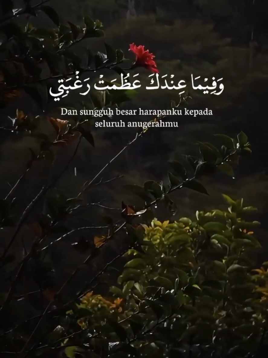 @Tulisan Cantik