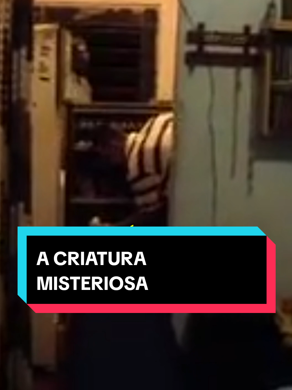 @curiosidadesemist&eacute;rio