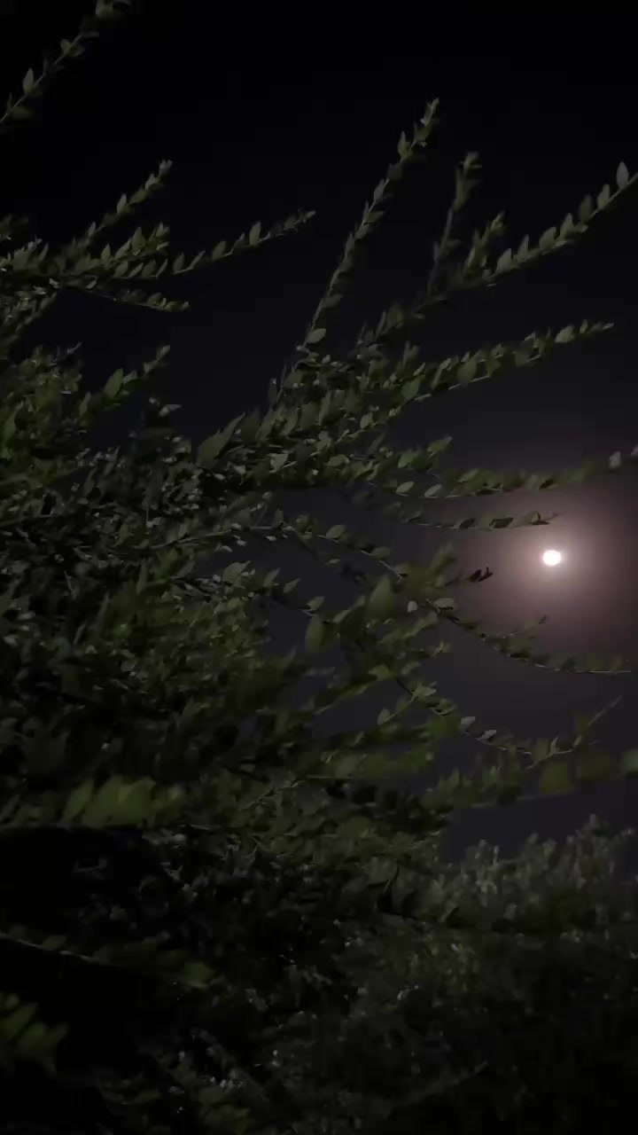 @𝓨𝓸𝓾𝓼𝓲𝓯  ོ ⠀