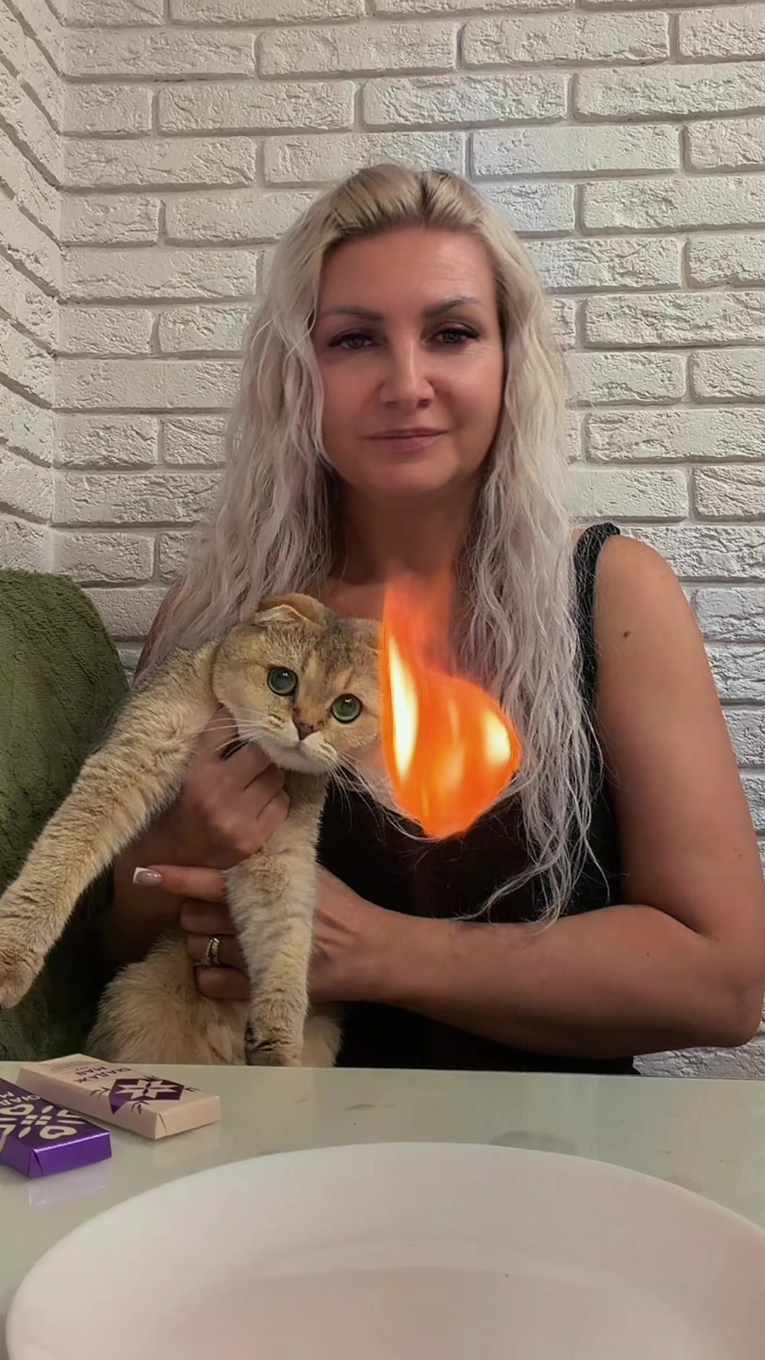 @Cat&Kittens