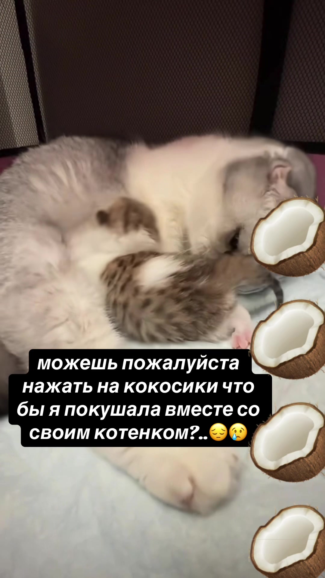 @kaboompriut