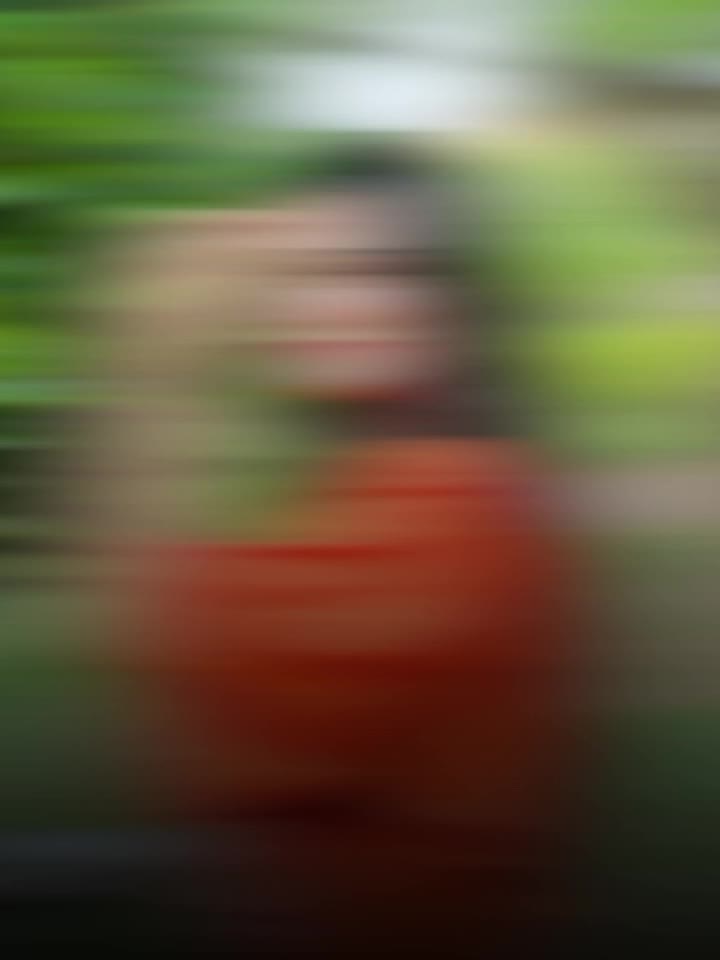 @╰☆☆𝐒𝐨𝐧𝐢𝐚_𝐠☆☆╮