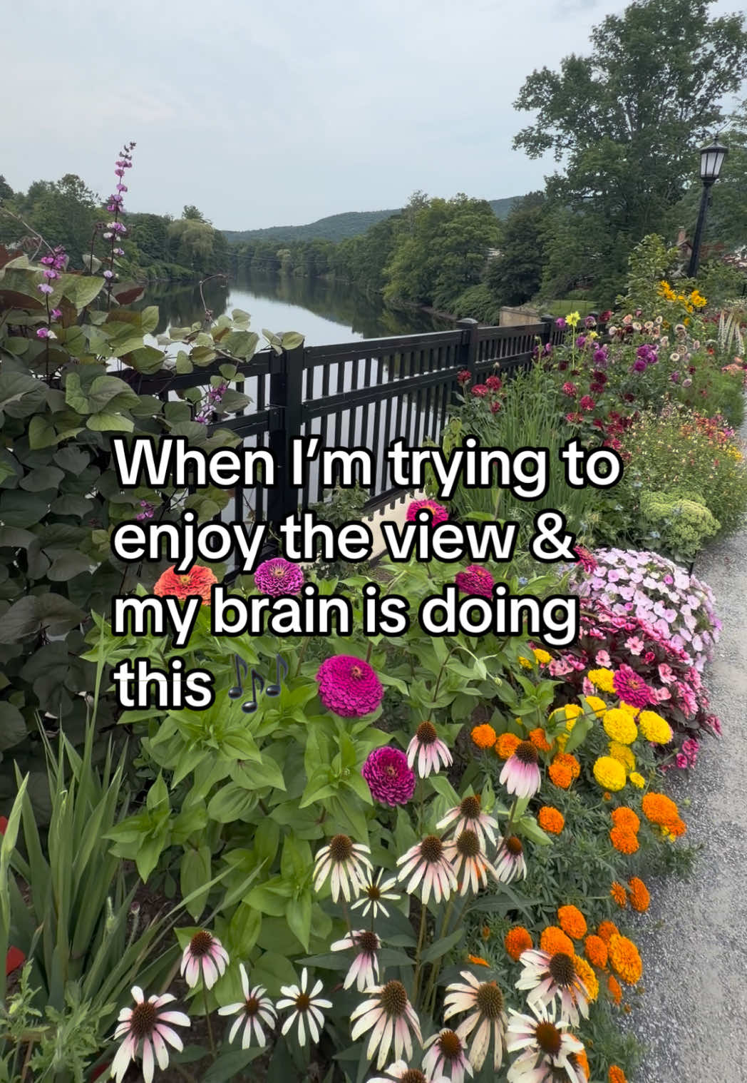 @Sunshine