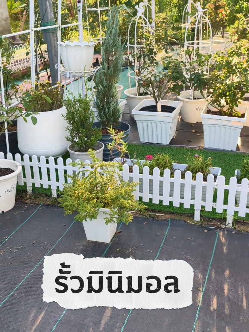 @บ้านนาตาโฮม🏡