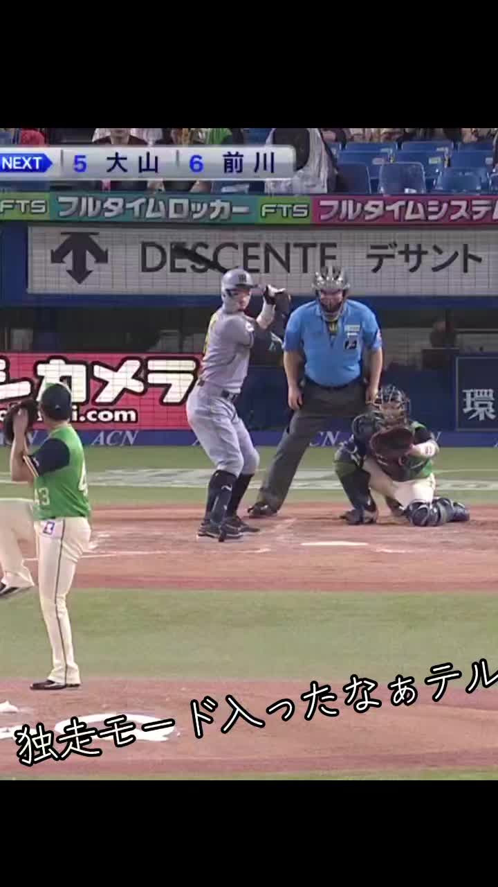 @🍑🐯トライダー🐯🍑