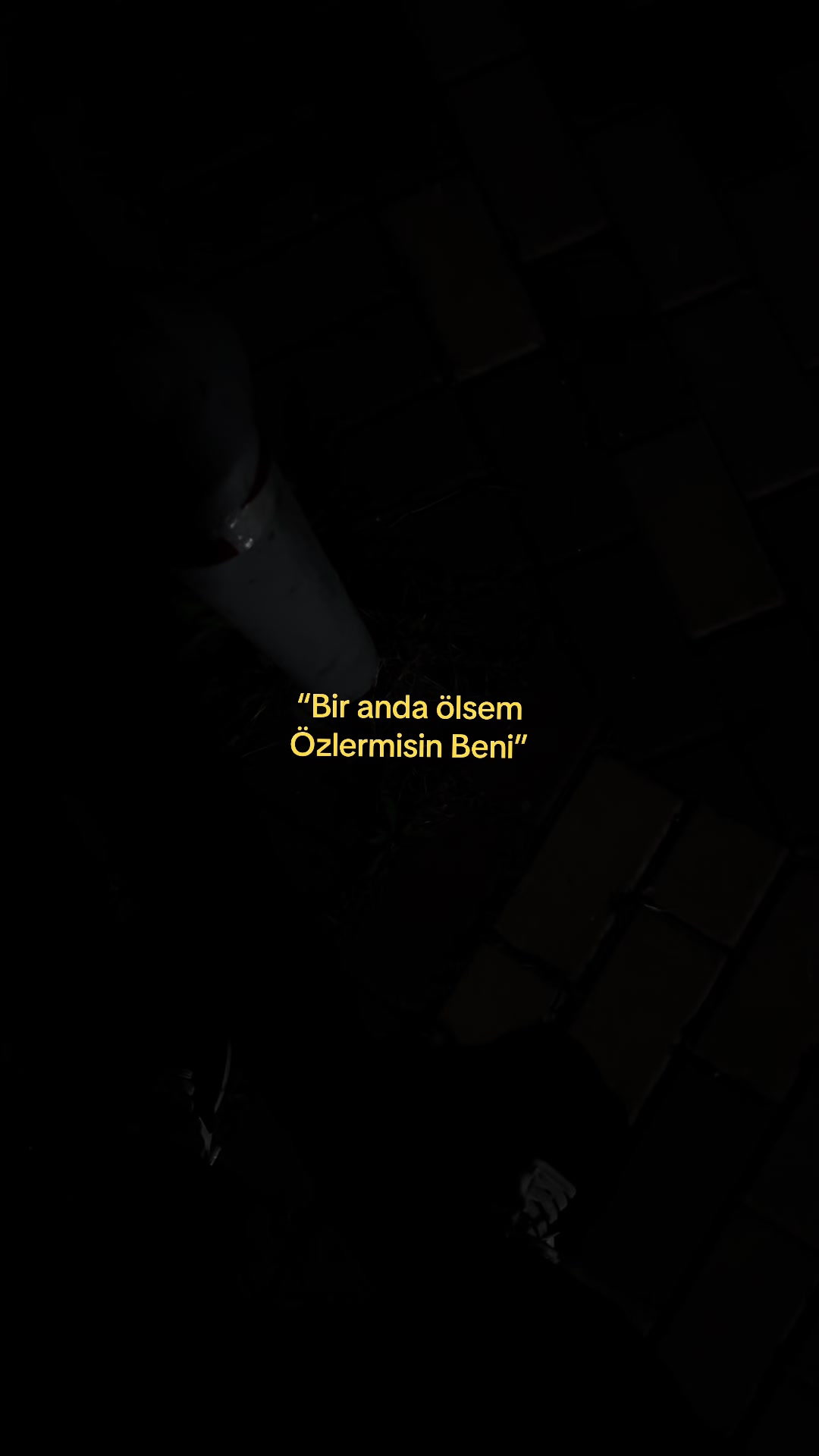 @𝓨.
