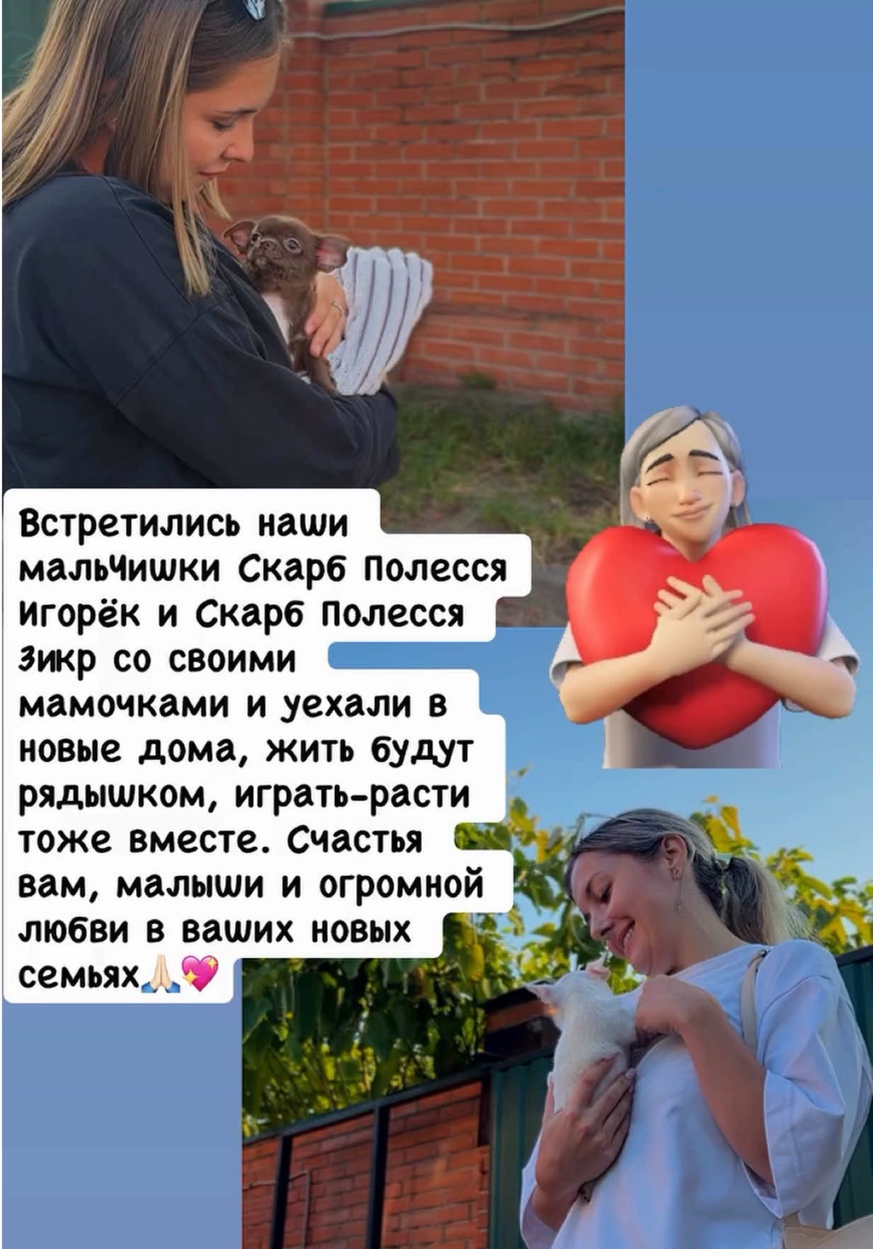 @skarb_palessya