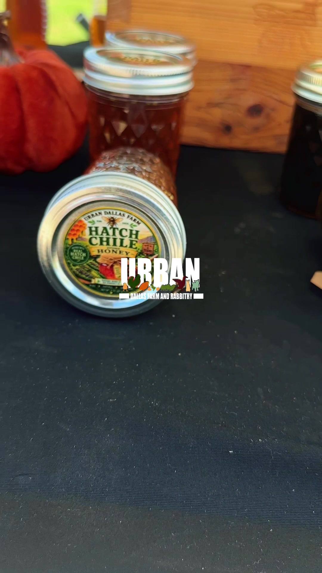 @Urban Dallas Farm